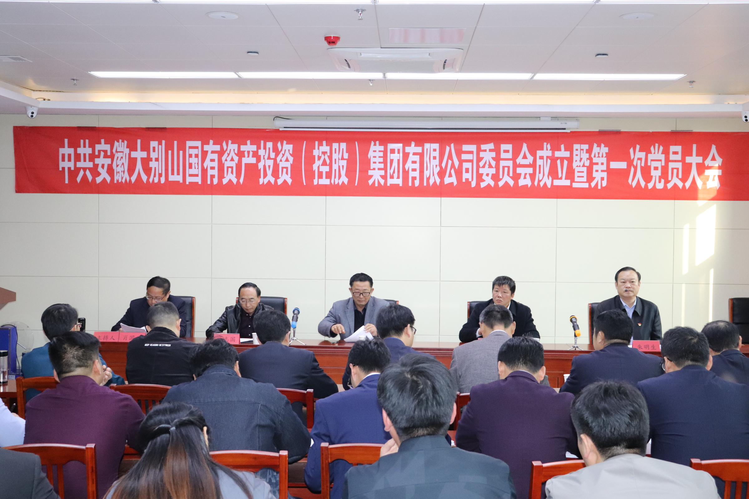 大別山國(guó)投集團(tuán)黨委、紀(jì)委正式成立