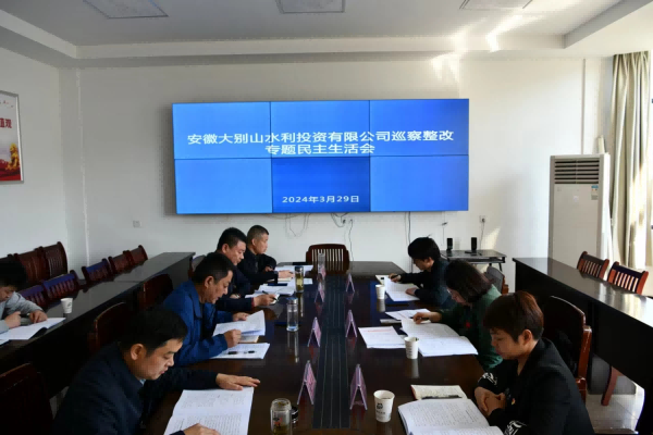水投公司召開縣委巡察整改專題民主生活會(huì)